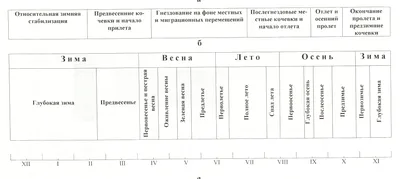 Педагогический проект на тему: \"Зимующие птицы Южного Урала\"