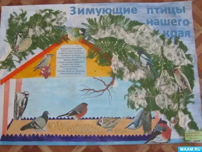 Картинки перелетные птицы для дошкольников - 65 фото