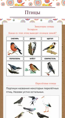 Открытки на тему перелетные птицы (80 фото) » Красивые картинки и открытки  с поздравлениями, пожеланиями и статусами - Lubok.club