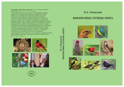 Отряд Воробьиные - Passeriformes [1963 Барабаш-Никифоров И.И., Семаго Л.Л.  - Птицы юго-востока Чернозёмного центра]