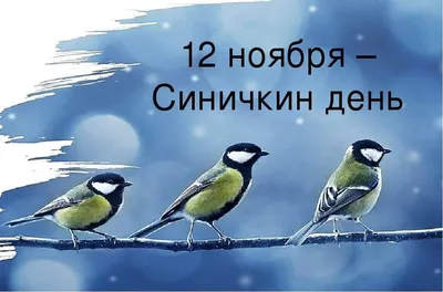 Зимующие птицы - YouTube
