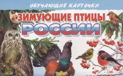 Где зимуют и когда возвращаются перелётные птицы? | Инфографика |  Вопрос-Ответ | Аргументы и Факты