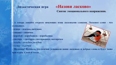 Открытое занятие «Зимующие птицы» во 2-ой младшей группе | Дефектология Проф