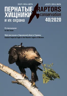 Raptors Conservation 40/2020 by Igor Karyakin - Issuu
