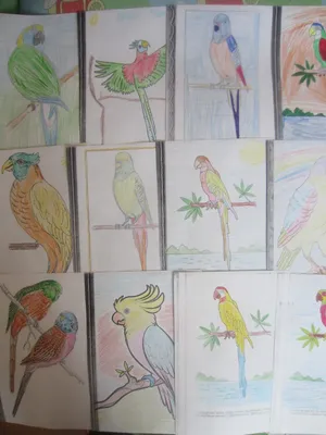 Пискун Эльвира Хамитовна (36 лет) - Экологический проект «Птицы – наши  друзья»