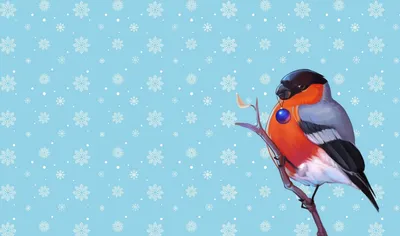 Зимующие птицы: чем можно помочь пернатым во время морозов - KP.RU