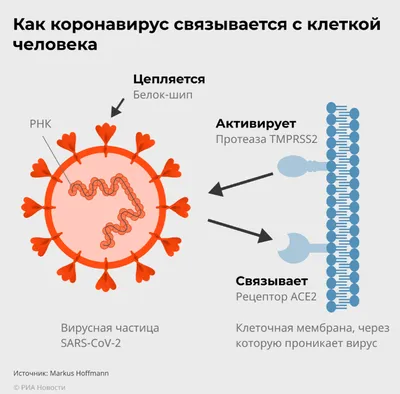 г. Астраханi