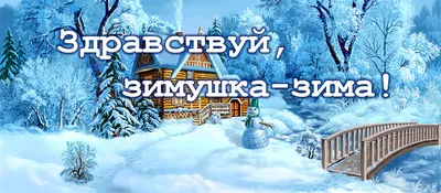 Новогодняя раскраска для детей Здравствуй, Зимушка-Зима! Проф-Пресс  15655668 купить за 96 ₽ в интернет-магазине Wildberries