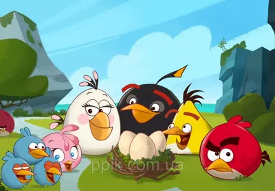 Вафельная картинка Angry Birds/Злые птички 7 (ID#908264662), цена: 33 ₴,  купить на Prom.ua
