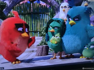 Пиньята Angry Birds злые птицы с наполнением (ID#1808489904), цена: 380 ₴,  купить на Prom.ua