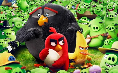 Раскраска № 4127 Angry Birds «Злые птицы» - скачай или рисуй на сайте  8o8.ru | Раскраски, Бесплатные раскраски, Раскраски с животными