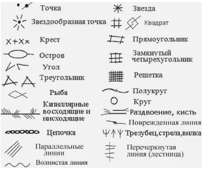 Линии на руке: значение, описание