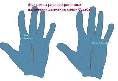 Какие признаки богатства спрятаны у вас на ладонях, а вы не замечаете