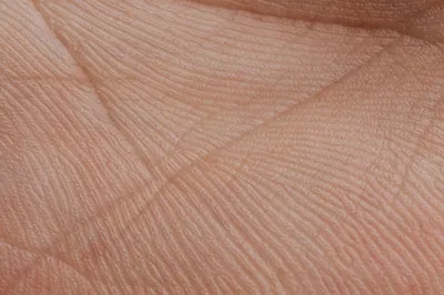 Значение линий на руке: качественная фотография