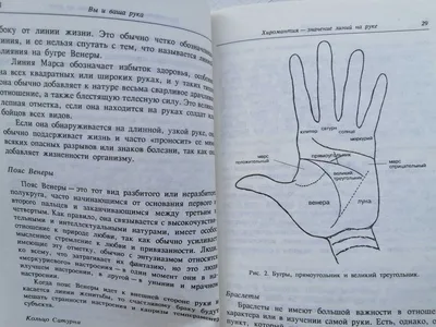 Значение линий на руке: фото в высоком разрешении для печати