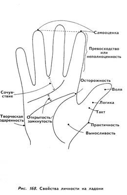 Изображение руки с ясным разъяснением значений линий