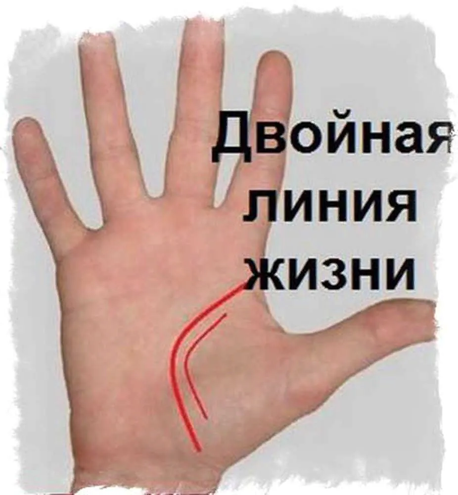 Линия жизни на руке на какой руке смотреть у женщин фото