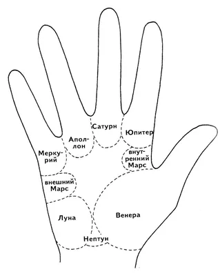 Фотография рук с знаками богатства: символы процветания