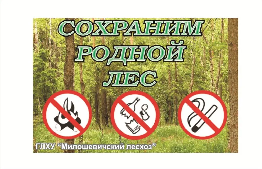 Охрана леса правила. Охрана и защита леса. Охрана природы леса. Табличка защити лес.