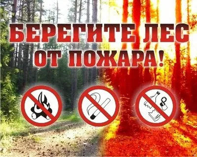 В майские праздники в Ивановской области будет усилена охрана лесов от  пожаров