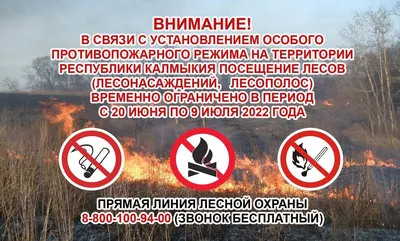 Пермяки воруют запрещающие знаки в природных парках | 05.07.2023 | Пермь -  БезФормата