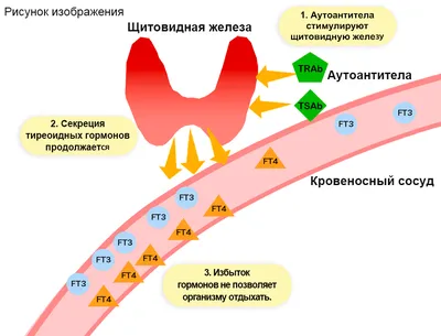 Главное управление ветеринарии Кабинета Министров Республики Татарстан