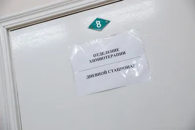 Протокол ЭКО по дням подробно: описание, виды протоколов