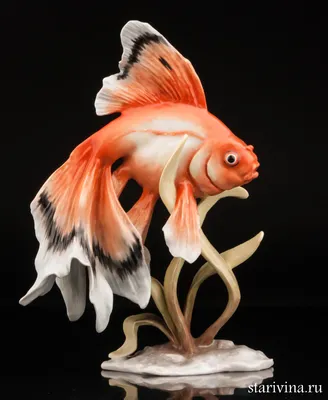 Раскраска Золотая рыбка распечатать или скачать