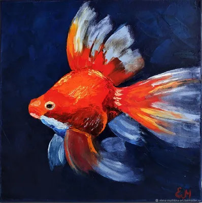Fish Золотая Рыбка Аквариум - Бесплатное фото на Pixabay - Pixabay