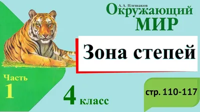 Дрофа – царственная птица безлесных открытых равнин и естественных степей —  Пензенский государственный краеведческий музей