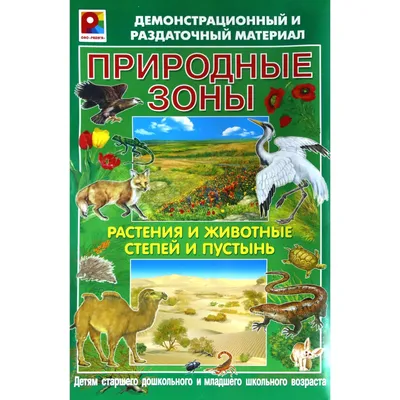 СТЕПИ И ПУСТЫНИ ЮГО-ЗАПАДА США: природные ландшафты и объекты природы