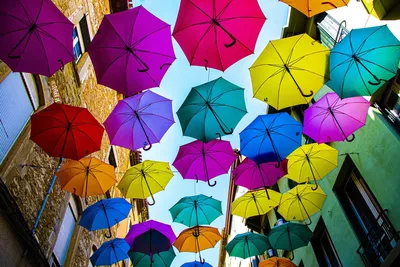Зонтик Зонтики Черное И Белое - Бесплатное фото на Pixabay - Pixabay