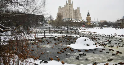 Московский зоопарк