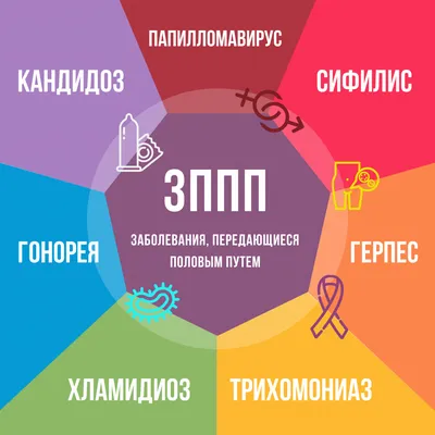 Вид В Микроскоп На Trichomonas Зппп — стоковые фотографии и другие картинки  Trichomonas - Trichomonas, Микроскоп, Trichomonas Vaginalis - iStock