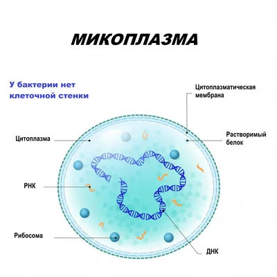 Черный, пошлый и прочий юмор в картинках, 30 штук 176944