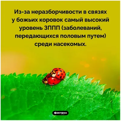 Генитальный герпес – симптомы, причины, диагностика и лечение у женщин и  мужчин в клинике «Будь Здоров»