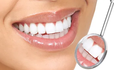 Зубы как символ здоровья: фото Зубов