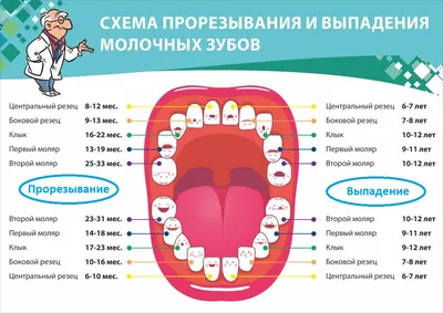 Зубы у детей | Пикабу