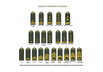 Погоны и звания полиции в России по порядку с иллюстрациями