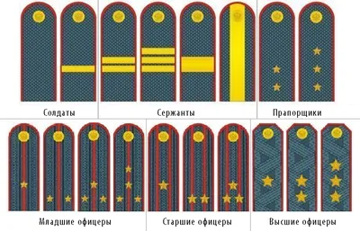 Специальное звание (таможня) — Википедия