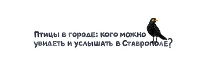 Конкурс рисунков «Звери, птицы, лес и я – вместе дружная Земля!» - 4 Апреля  2017 - Нижнеингашская СОШ №1 имени П. И. Шатова