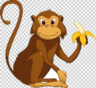 Monkey Ребята и зверята. Стихи для детей и о детях Primate Gorilla PNG,  Clipart, Animal, Animal