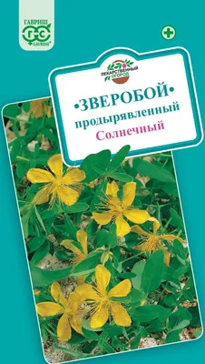 Зверобой трава КЛС 50г купить в Москве по цене от 93 рублей