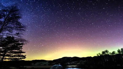 Скачать 1920x1080 звездное небо, звезды, ночь, деревья, вид снизу обои,  картинки full hd, hdtv, fhd, 1080p