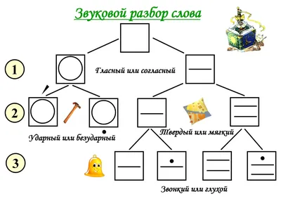 Звуковой анализ слов для дошкольников. Блог Лого-Эксперт